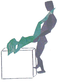 [The Amazing Butterfly Picture]