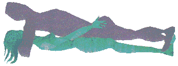 [Cat Position Picture]